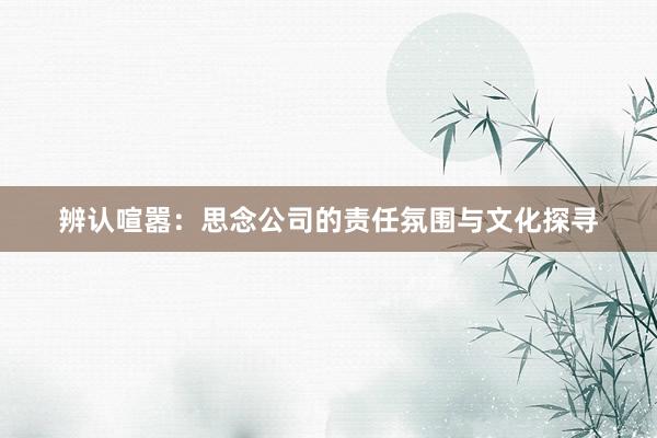 辨认喧嚣：思念公司的责任氛围与文化探寻