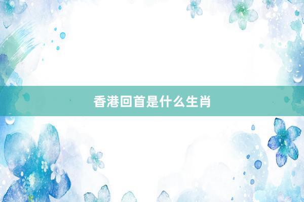 香港回首是什么生肖